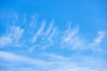 Unusual clouds as feathers in the light blue sky