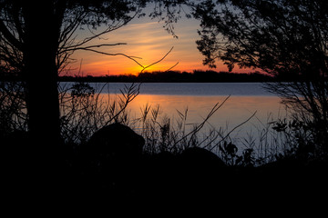 Sunset by wetlands in Rhode Island