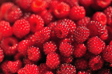 Wine raspberry Rubus phoenicolasius - Japanische Weinbeere oder auch Rotborstige Himbeere