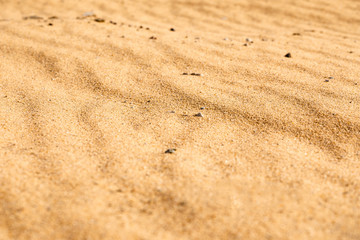 Fototapeta na wymiar Fine beach sand in the summer sun. Sand beach texture. Top view. Selective focus.