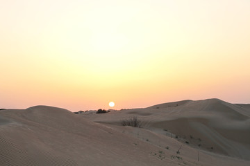 Fototapeta na wymiar Sunset in the desert. Sand dunes and pink sky