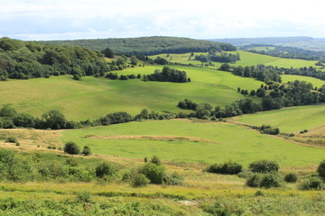 landscape with green field and blue sky