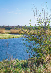 Beautiful spring river in the flowing nature. Colorful landscape in the morning and evening. Travel to deserted places of the world. Stock photo for design