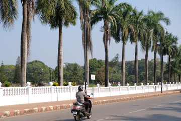 young man riding a bike near palms 