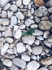 Processed with VSCO with a5 preset