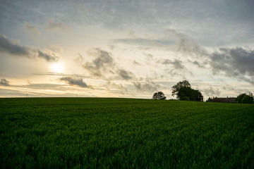 Obraz premium Rural Sunset