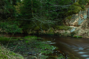 Green natural forest, dark river in national park