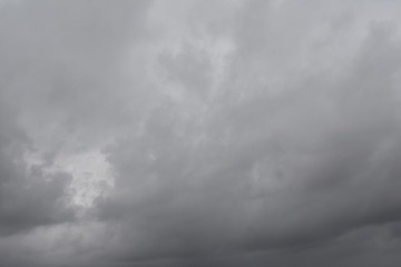nature, bird, moon, sunset, greenhouse, blacksky, flower,