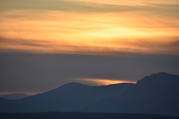 nature, bird, moon, sunset, greenhouse, blacksky, flower,