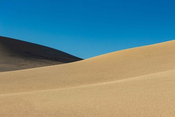 sand dunes in the beach