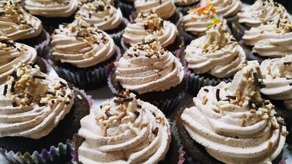 Delicioso postre de chocolate Muffin