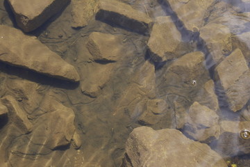 stone wall background underwater