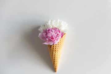 Bouquet of white and pink peonies in a waffle horn on white background