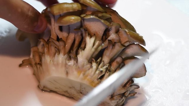 まいたけを切る