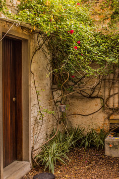 Jardim