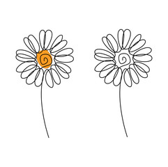 Continuous single line drawing vector illustration of chamomile flower