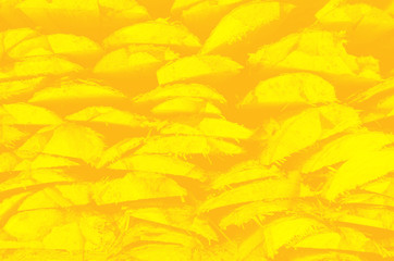 Fototapeta na wymiar abstract yellow bright background for design