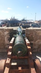 Seagull and old cannon in Essaouira, Morocco in a sunny day