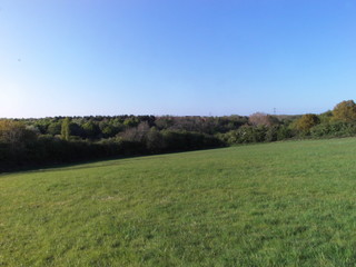 green field and blue sky