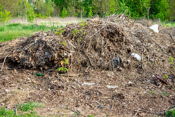 A big pile of garbage and last year's leaves in the protected area