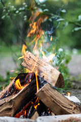 Beautiful little bonfire during the day on a camping trip. Stock background for design