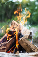 Beautiful little bonfire during the day on a camping trip. Stock background for design