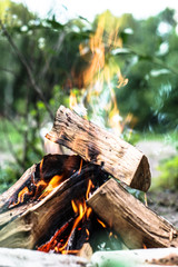 Beautiful little bonfire during the day on a camping trip. Stock background for design