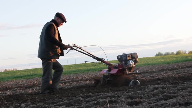 male farmer works in a field on a walk behind motoblock, plows the land with a plow at sunset.
