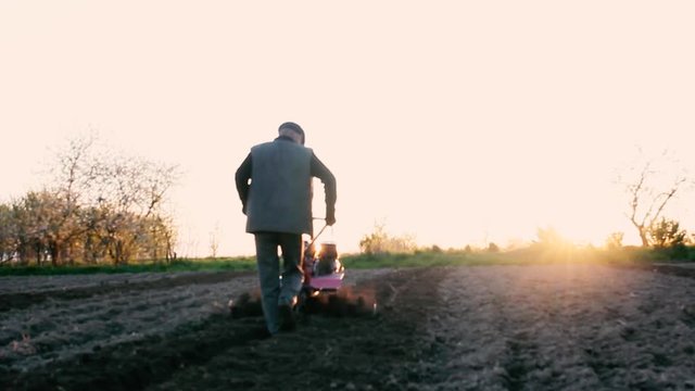 male farmer works in a field on a walk behind motoblock, plows the land with a plow at sunset.