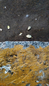 Overhead View Of Leaves On Ground