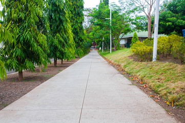 Camino para correr en le parque