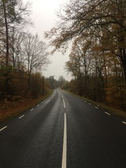  An empty street during autumn in Vittsjö after rain.