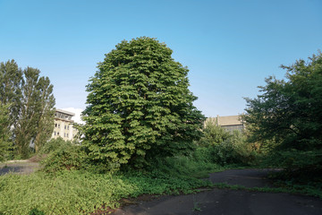 Ruins of abandoned buildings in 1986. Soviet architecture in Chernobyl. Danger of infection of people with the virus, radiation. Scary Grunge Background