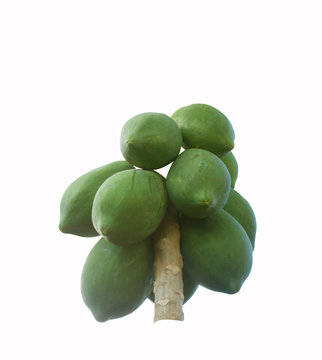 Papaya