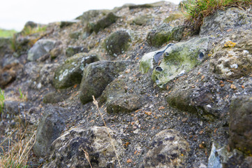  Mortared flint rubble wall Dover Castle Pharos