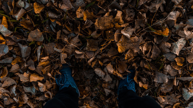 salir a patear hojas es lo que mas me gusta del oto&ntilde;o, son del suelo y no son de nadie que mas lindo que sus contrastes se nota la cuarentena