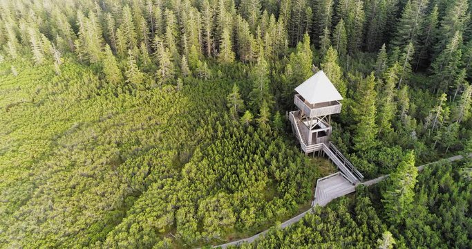 Breathtaking Lovrenska lake landscape with a watchtower aerial