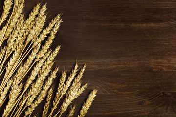 Spike of wheat close up. Cereal crop. Rustic style. Rich harvest creative concept. Top view and copy space.