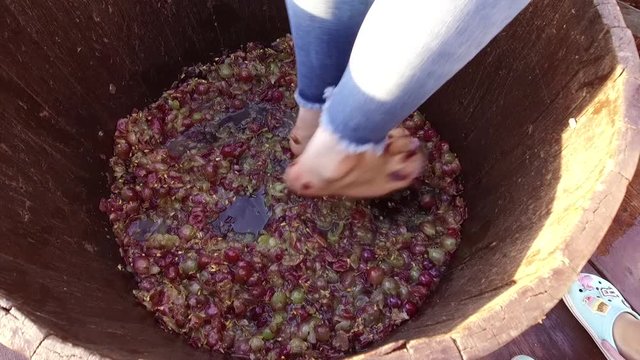 Vi&ntilde;edos aplaste de uva para vino