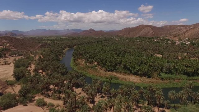 Oasis, r&iacute;o con palmera en Muleg&eacute;
