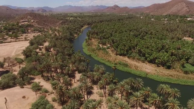 Oasis, r&iacute;o con palmera en Muleg&eacute;