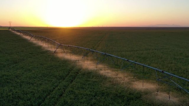Aerial view of center pivot irrigation systems are working in agricultural field at sunset or sunrise.  Excellent sunset or sunrise landscape .  Farm and agricultural concept.