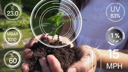 Smart digital agriculture technology by futuristic sensor data collection management by artificial intelligence to control quality of crop growth and harvest. Computer aided plantation grow concept.