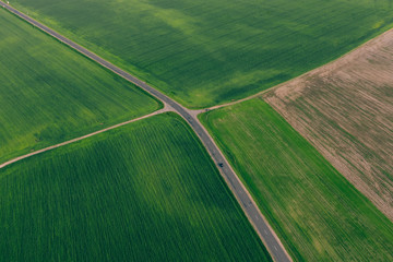 Highway between green fields of agriculture, wheat crop in the fields. Aerial view
