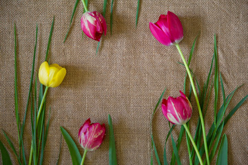 scarlet tulips lie on a rough cloth