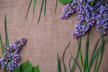 lilac flowers lie on a rough cloth