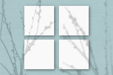 4 square sheets of white textured paper on the blue-green wall background. Mockup overlay with the plant shadows. Natural light casts shadows from willow branches. Flat lay, top view