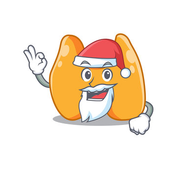 cartoon character of thyroid Santa having cute ok finger