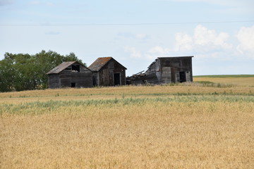 Ghost town