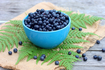 Forest blueberries in a blue bowl on the table.